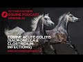 Acute Colitis In Horses Salmonella Clostridium Life Threatening Diarrhea Ep 42