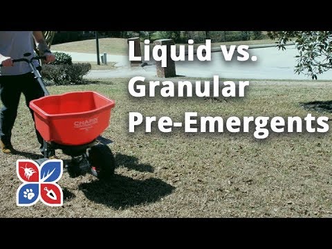  Do My Own Lawn Care - Liquid v. Granular Pre-Emergents Video 