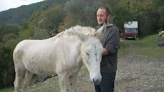 Agri-Punk: Chuck the Mule