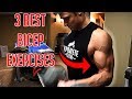 BIGGER BICEPS FAST! | 3 Easy Exercises to Build Your Biceps