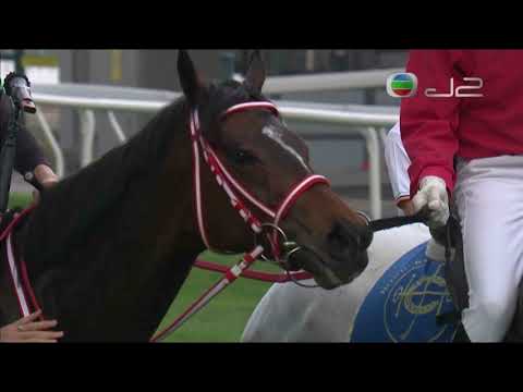 2021 The FWD QEII CUP G1 - Loves Only You (唯獨愛你) - CY.Ho