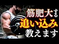 【筋肉痛不可避】トレーニング強度の具体的な上げ方を伝授!