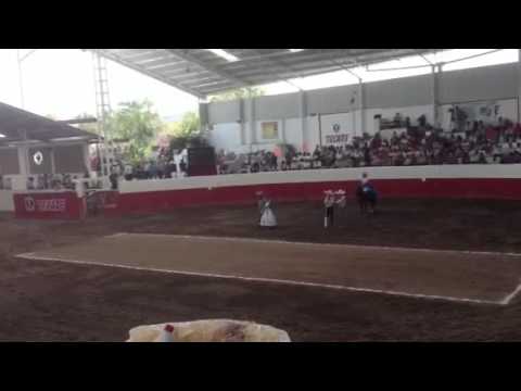 LAS PALOMAS SAN JUAN DEL RIO QRO, PUNTA DE JENNIFER VILLEDA