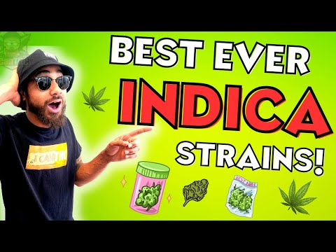 TOP 7 INDICA GENETICS OF ALL TIME! 🔥