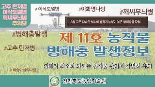 농작물 병해충 발생정보 11호 (2022.08.18~2022.09.07)