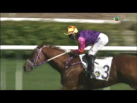 2021/22 (552) - Happy Day (仁仁之寶) - 莫雷拉 (增程落飛贏馬)