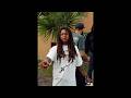 FREE Hurricane Wisdom Sample Type Beat Rain King