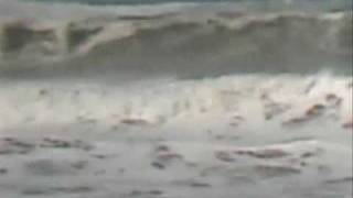 California Rogue Waves