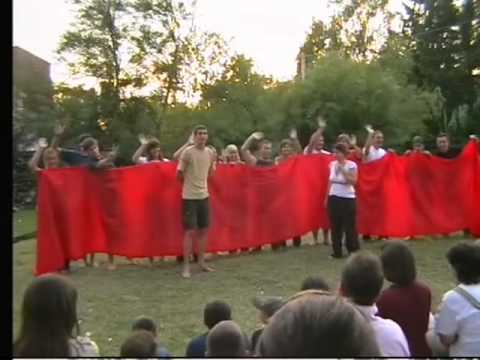 2008 Zamárdi - Váratlan macskának váratlan a szőre