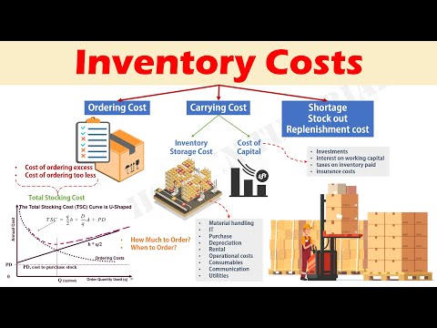 YouTube video about The True Cost of Implementing an Inventory Management System