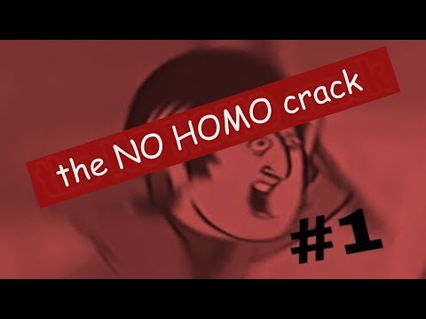 the NO HOMO beatles crack #1