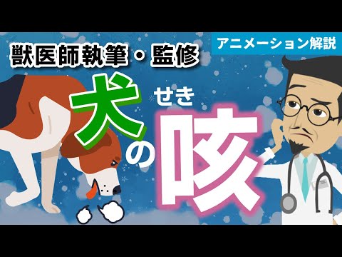 犬が空咳をして窒息する - 原因と治療法