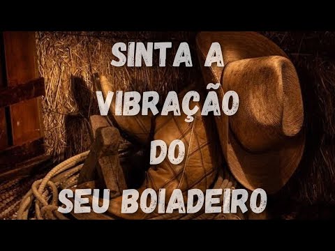 Ponto poderoso do Seu Boiadeiro, vale a pena conferir.
