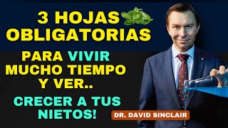 ???? 3 HOJAS OBLIGATORIAS para PERSONAS MAYORES que Quieren Ver a Sus Nietos Crecer | Dr. Sinclair