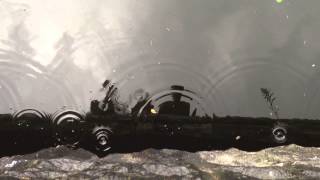 The Shadowboxers | Helplessly Hoping