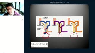 Fisiologia Básica do Sistema Renal AULA 2: Formação da Urina e Micção