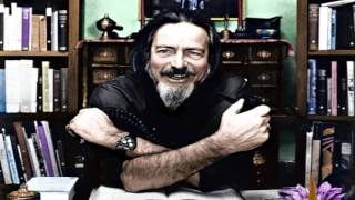 Confusing money with wealth: Alan Watts