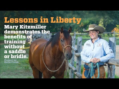 Lessons in LIberty