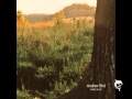 Andrew Bird - On Ho