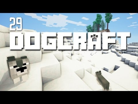 Where's Wink? | Dogcraft (Ep.29)