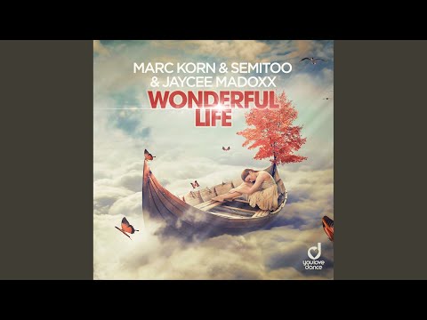 Wonderful Life (Steve Modana Extended Mix)
