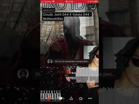 Yakata044-molliesxbillies