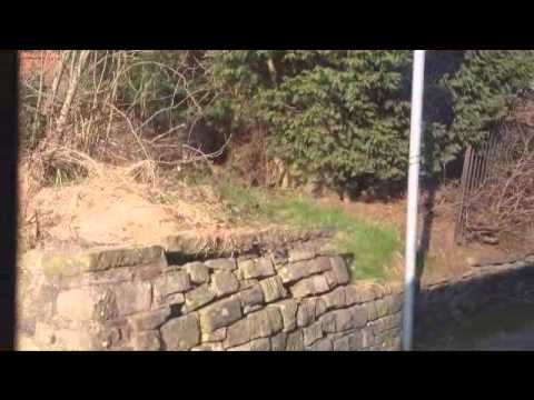 Thrash! - Arriva North West Dennis Dart MPD 892 W12BLU Part 2