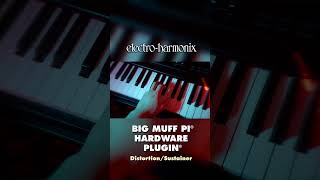 Video thumbnail for EHX Big Muff Pi Hardware Plugin Pedal Demo by EHX