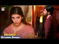 Amanat Episode 29 | Tomorrow at 10:00 PM, only on @ARY Digital