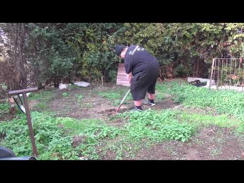 Drachenlord auf dem Gronkh Discord, ungeschnitten (23.02.2019)