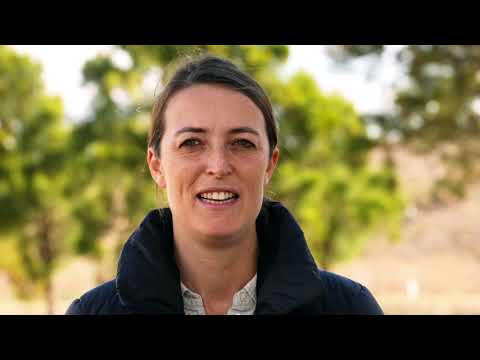 2023 Gold Coast National Broodmare Sale - Sunshine In Paris