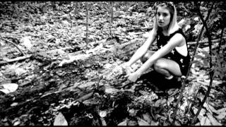 Freaks - Hawk in Paris