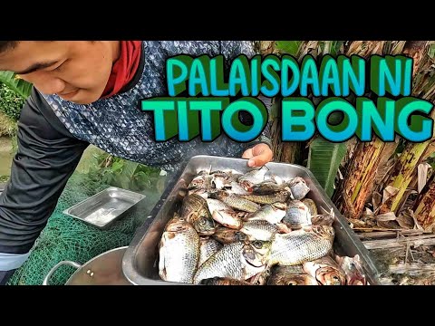 P2-Pagtulong sa Palaisdaan ni Tito Bong - EP1077
