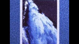 Plastic Flowers Silence Again