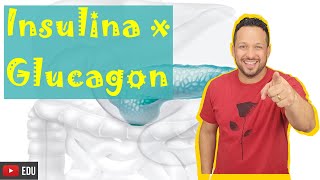 Insulina e Glucagon - Tudo que você precisa saber sobre esses hormônios do Pâncreas! Fisiologia