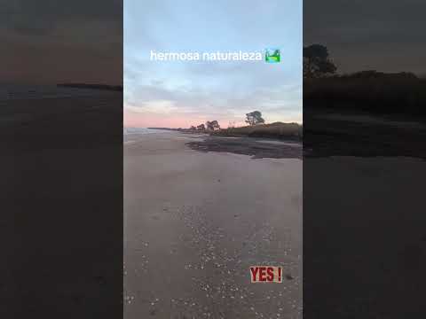 hermosa playa pascual malcons buscando la pesca 🎣 San José Uruguay #pesca #playa #naturaleza #viral