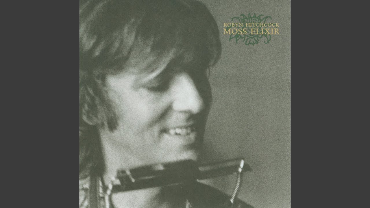 Robyn Hitchcock - The Devil's Radio