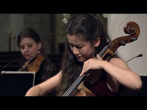 St. Gellert Music Festival 2023 / J. Haydn : Cello Concerto in D Major with the cellist Lila