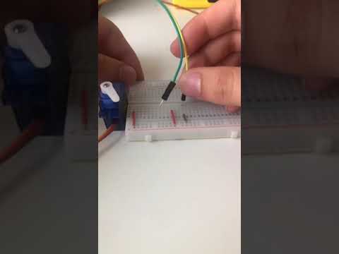 Quarantine Things tiktok  itblikethat