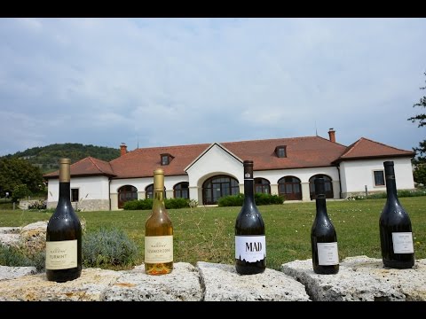 Come With Me To Hungary - the Tokaj Wine