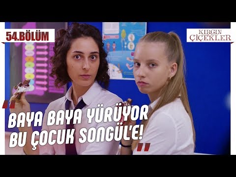 Songül’e aşık olan Mert! - Kırgın Çiçekler 54.Bölüm