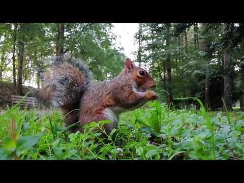 Bugs and funny moments in Dota 2 patch 7.30