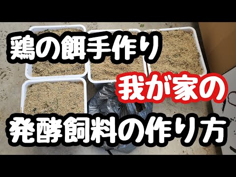 産卵鶏用の小麦を発芽させるにはどうすればよいですか？利点は何ですか?  庭園