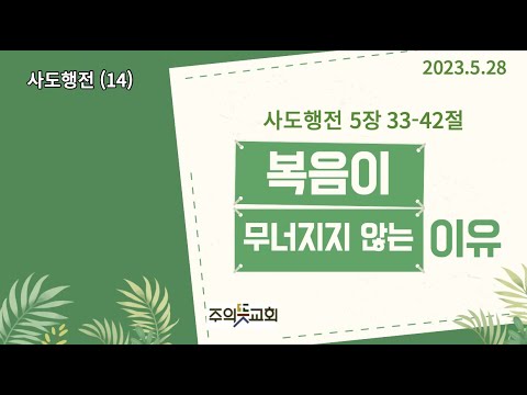 사도행전 강해(14), 사도행전 5장 33-42절, 복음이 무너지지 않는 이유, 양성찬 목사 영상 썸네일