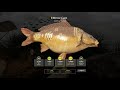 Фото Russian Fishing 4 RF4 The Amber Lake Trophy Mirror Carp and Common Carp BISTRO