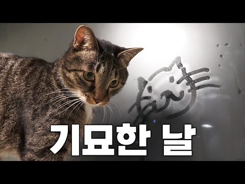 궁팡 다신 안갈래