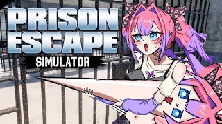 綺々羅々ヴィヴィ - 【 Prison Escape Simulator: Dig Out 】深夜に穴を掘って刑務所から脱獄！！！！！【#綺々羅々ヴィヴィ #hololiveDEV IS #FLOWGLOW】