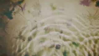 Bibio - Autumn Struck