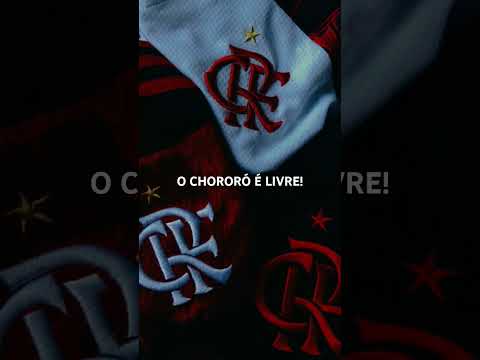 TEM QUE ATURAR!!! #flamanguaca #flamengo #mengaodomeucoracao #futebol