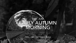 The Aim Early Autumn Morning Rough Mix